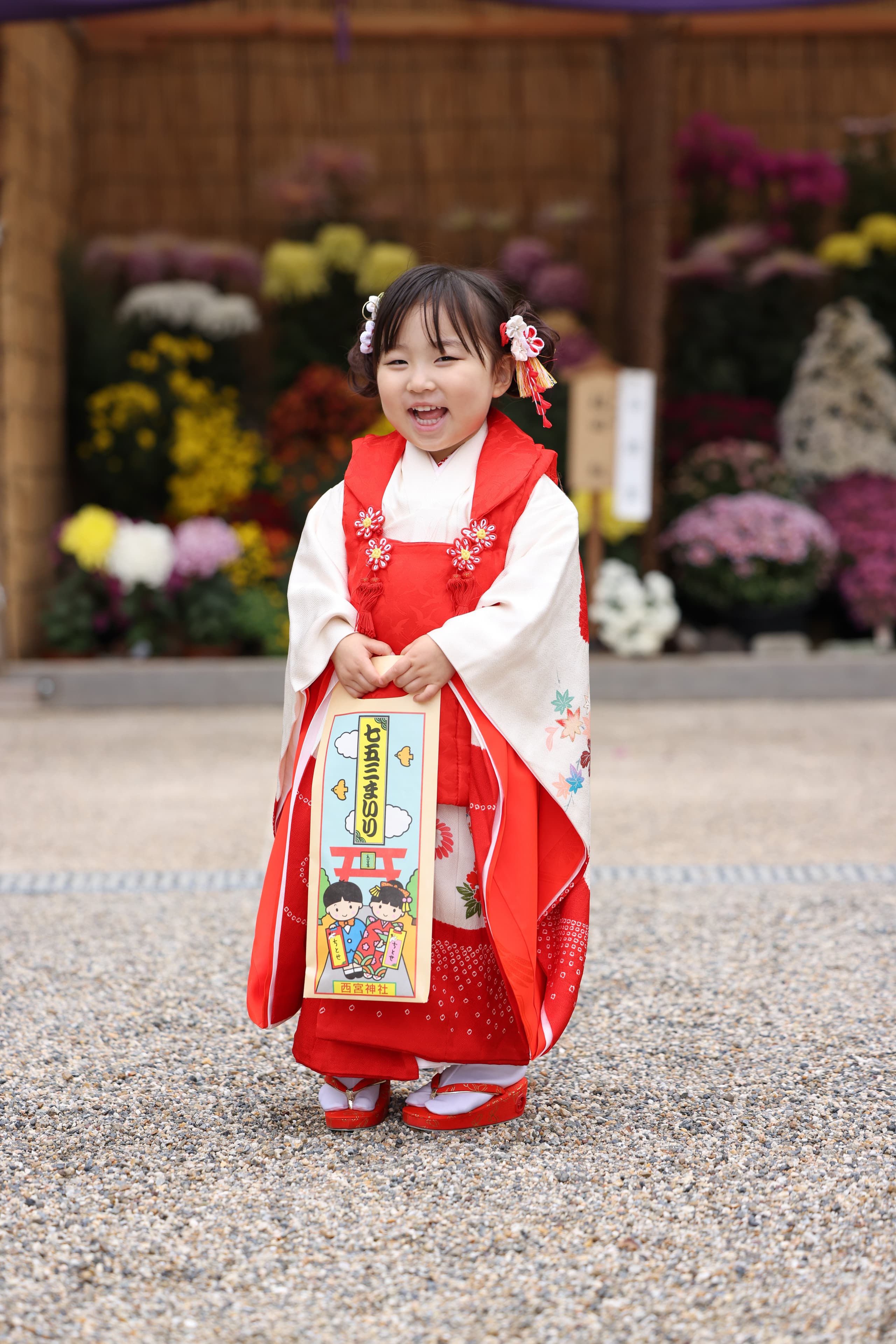 西宮神社　七五三　お宮参り