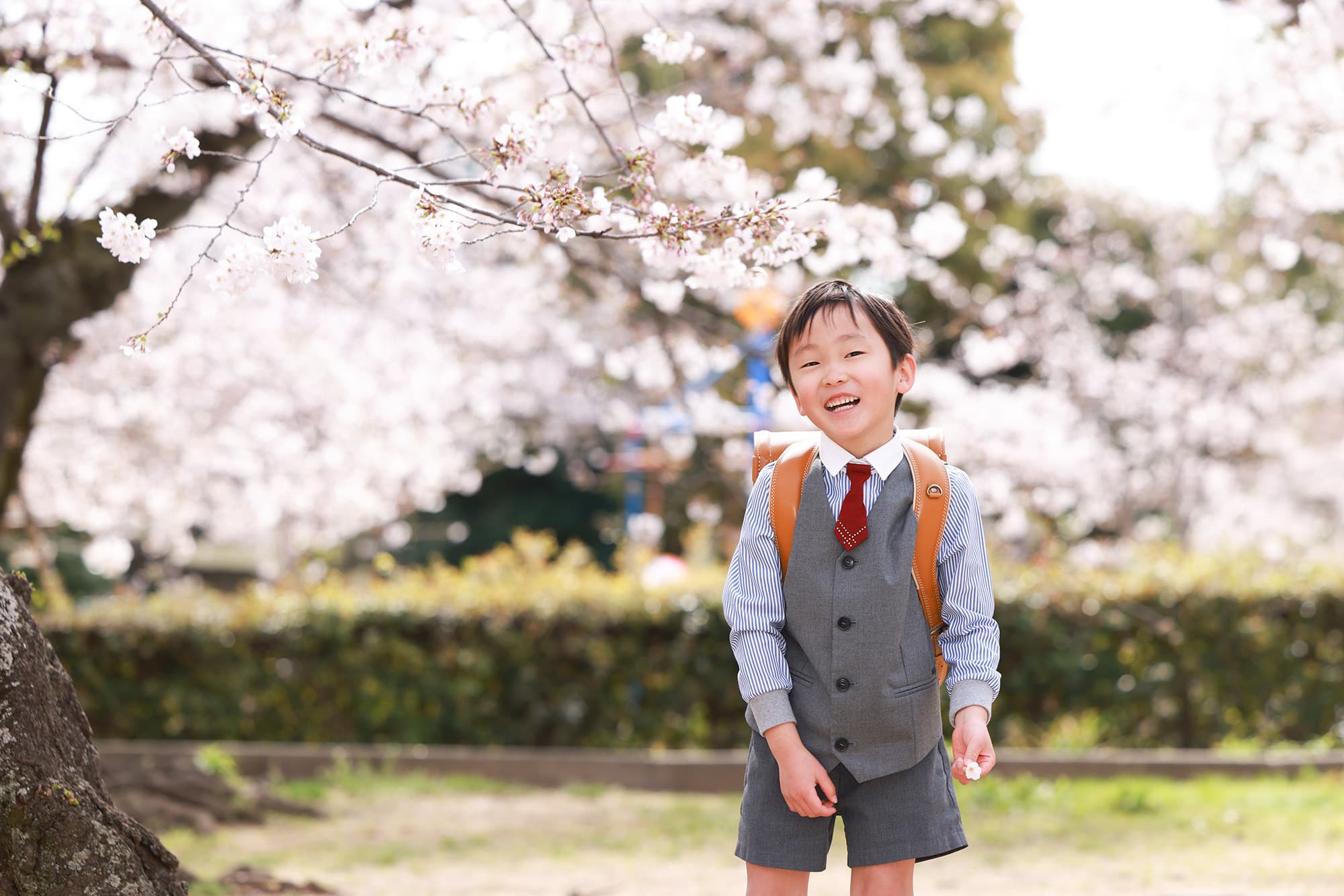 入園・入学　桜フォト