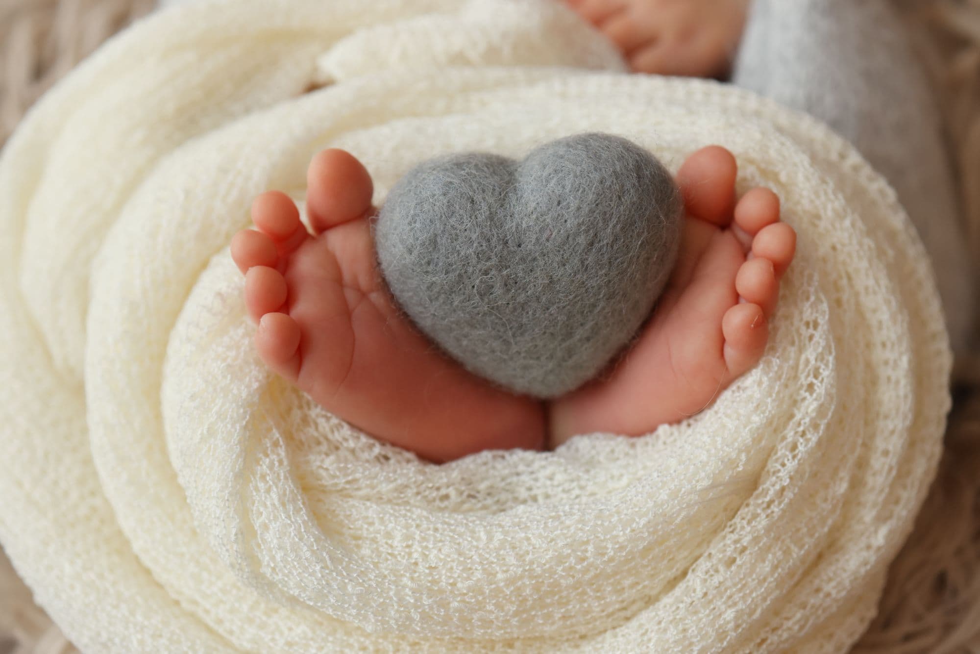 芦屋市ニューボーン