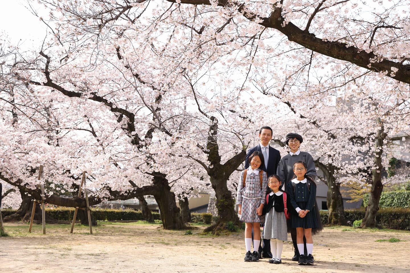 入園・入学　桜フォト